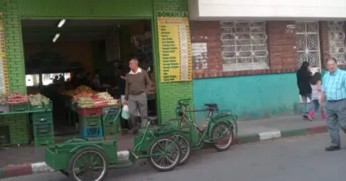 FRUIT BONANZA FRUIT BONANZA